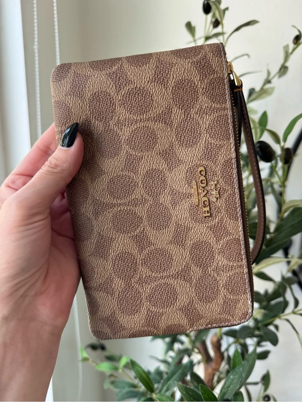 Coach Tan/Brown Large Corner Zip Wristlet In Signature Canvas